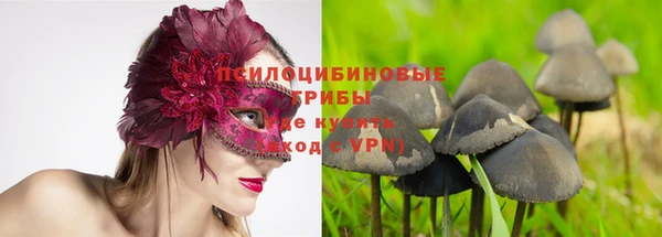 гидропоника Вязьма