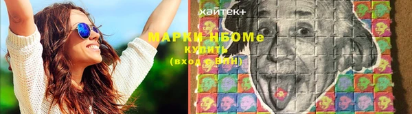 сатива Вязники